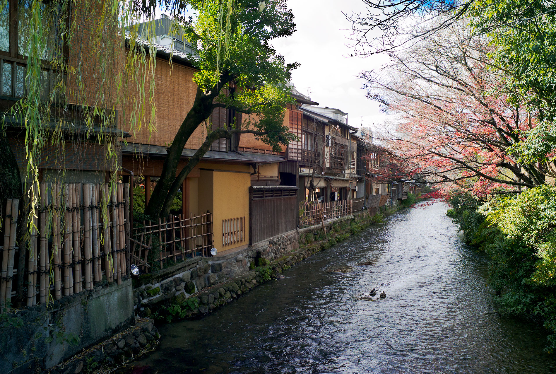 Gion, Kyoto 2013