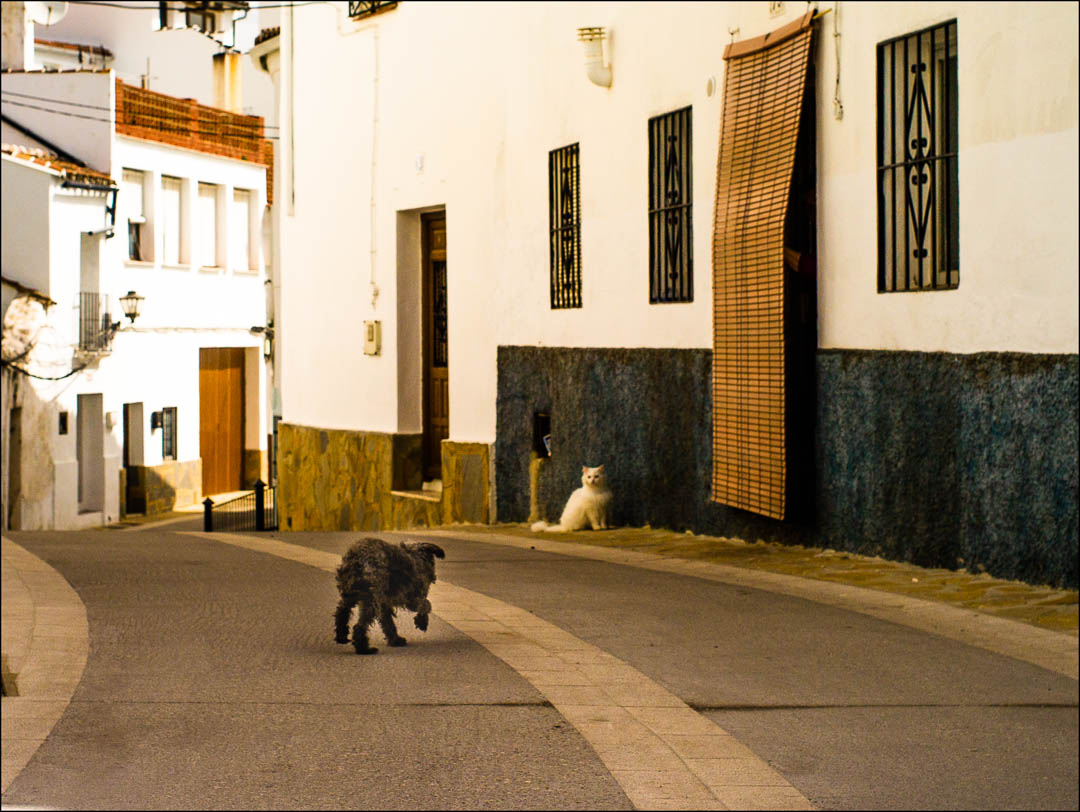 Gaucin, Spain, 2018