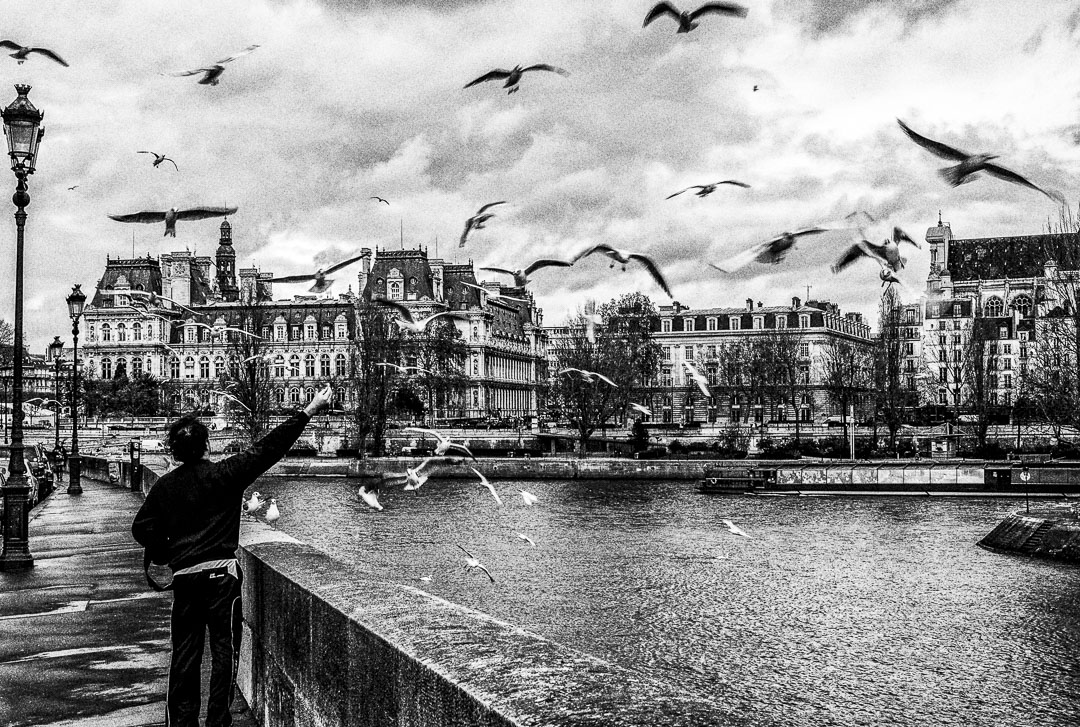 Man feeding birds, Paris, 2011