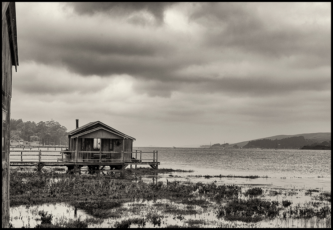 Tomales Bay, California, 2015