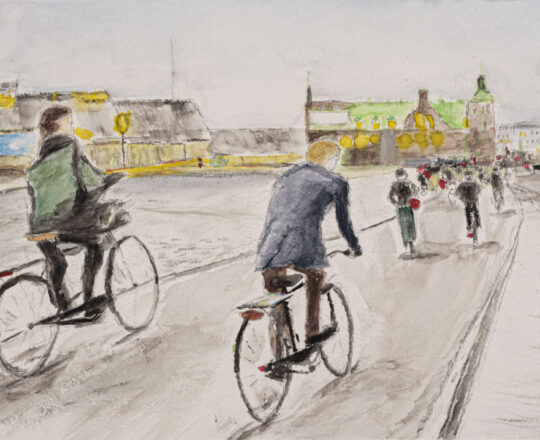 Bicyclists, Copenhagen, 2019